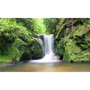 Waterfall 2 View - Weather Proof Scene for Window Wells or Wall Mural - 120 in. x 60 in