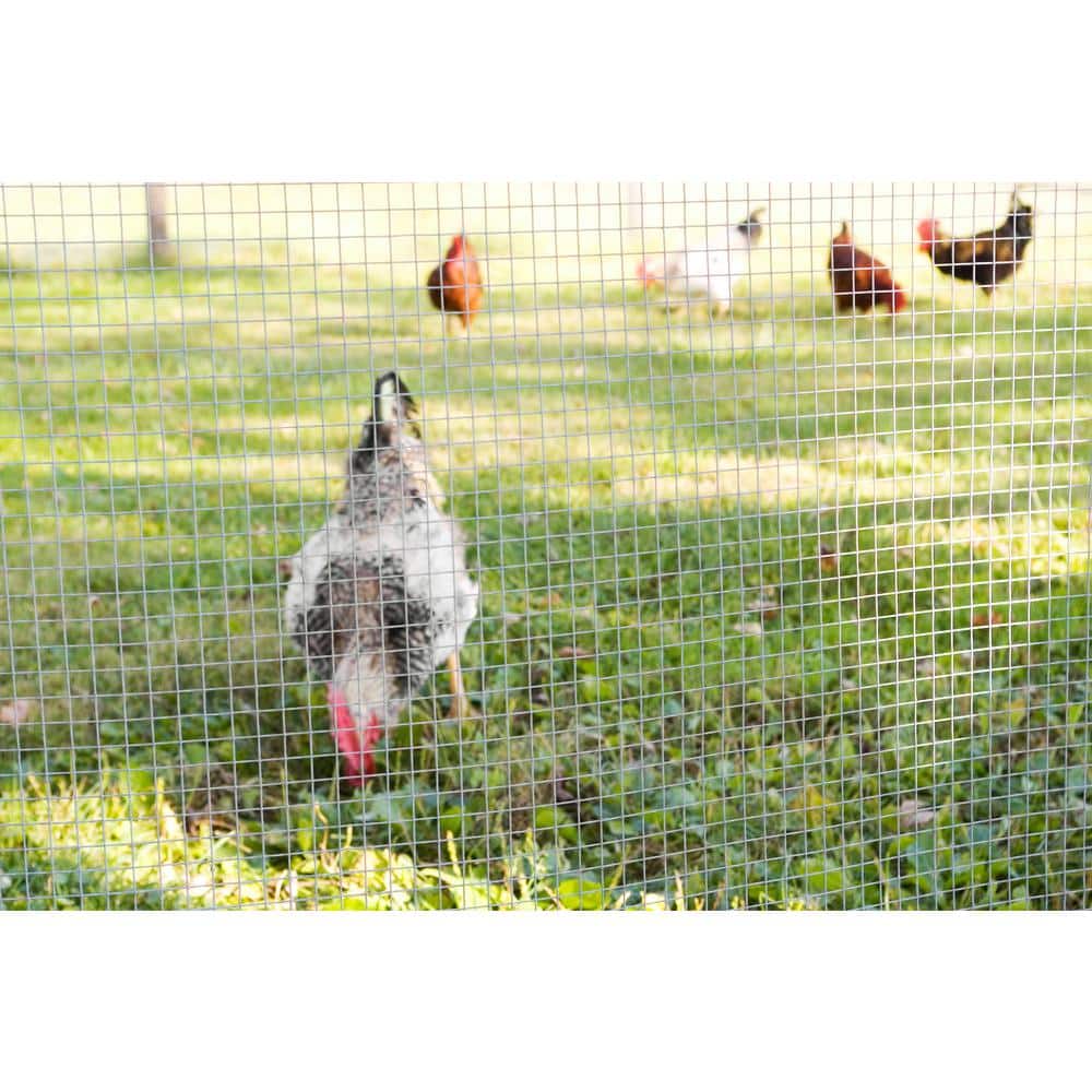 Silver Galvanized Metal Mesh Fence with 1/2 Inch Mesh
