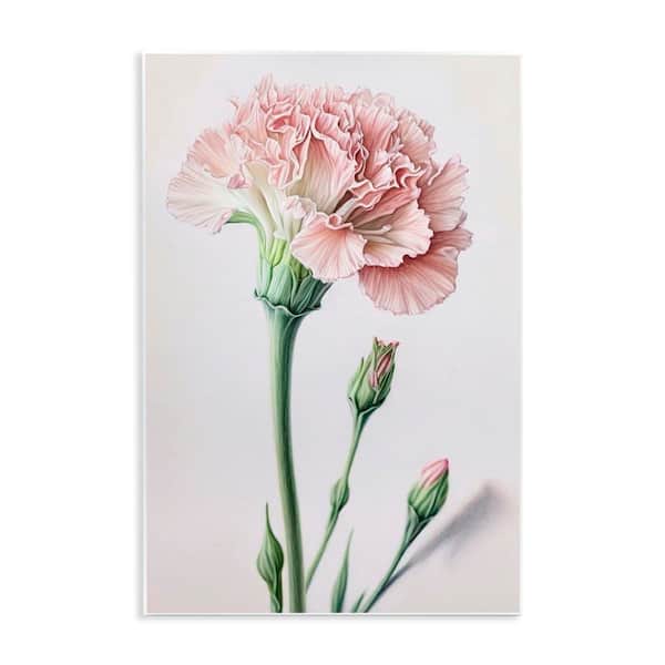 Pale Carnation Budding by Incado Unframed Nature Graphic Art Print 15 in. x 10 in.
