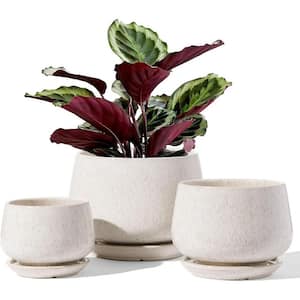 Modern 6.5 in. L x 6.5 in. W x 5.8 in. H Reactive Glaze Beige Ceramic Round Indoor Planter (3-Pack)