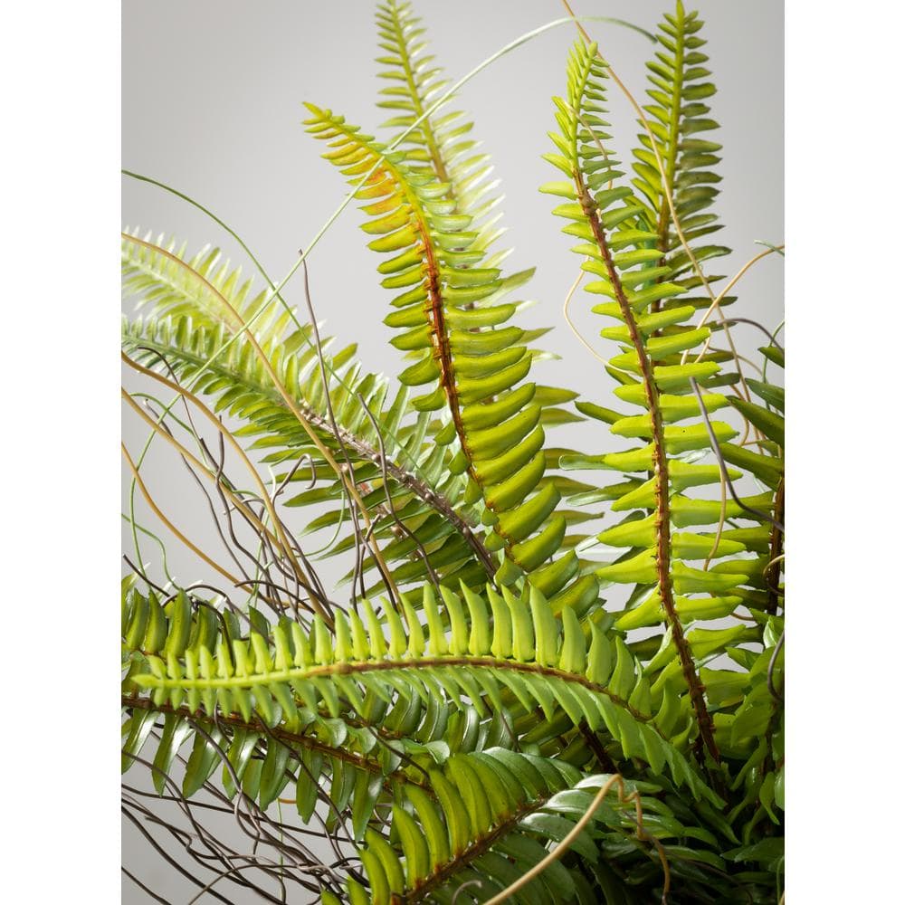 Outdoor Green Plastic Fern in Black Pot