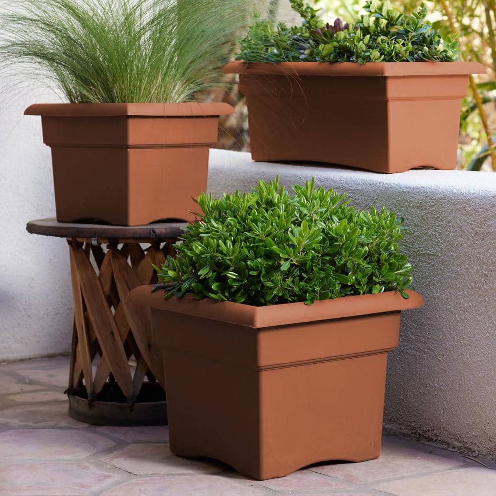 Veranda Square Terra Cotta Clay Planter for Indoor & Outdoor, 11 in.