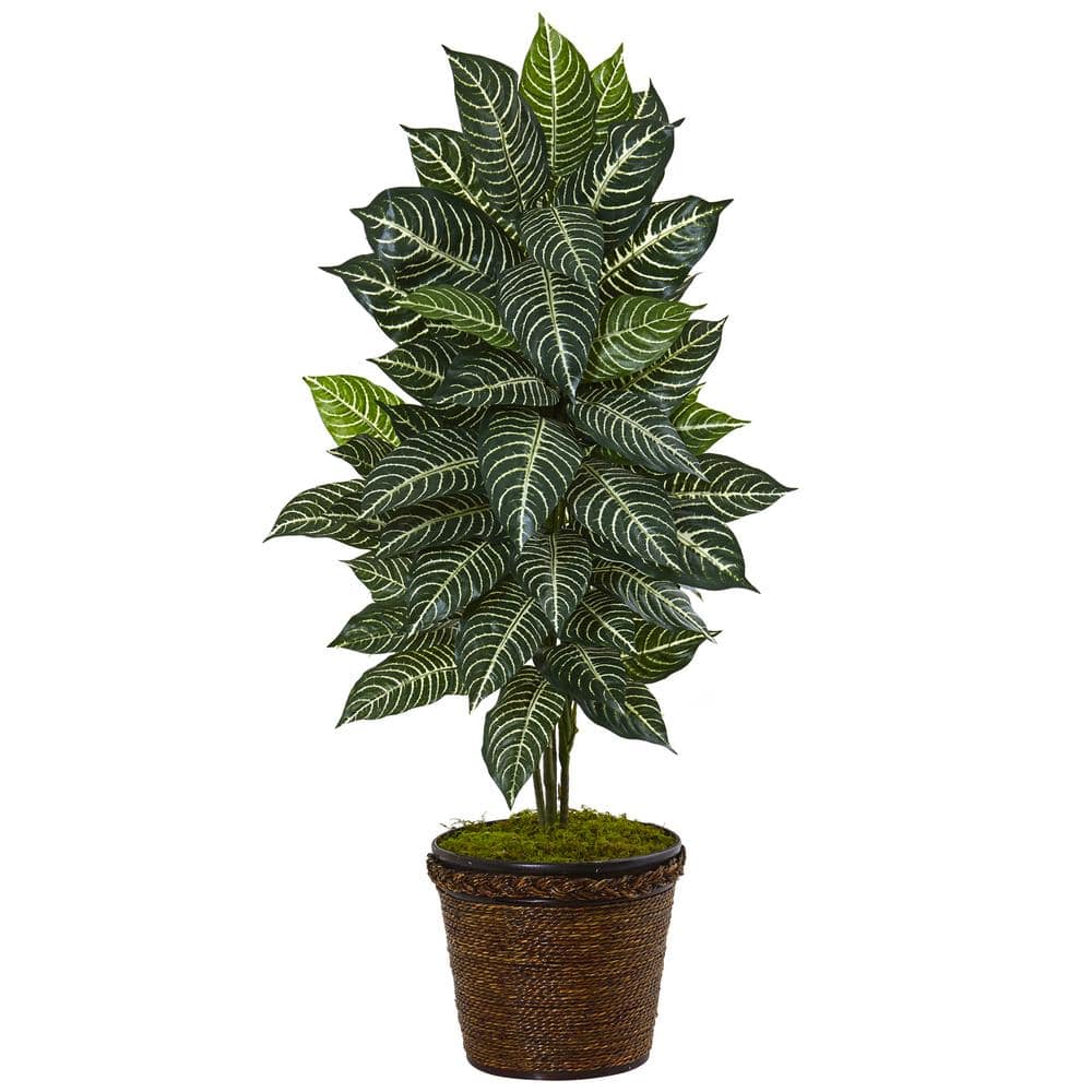 Nearly Natural Indoor 20 ft. Zebra Artificial Plant in Coiled Rope Planter  20   The Home Depot
