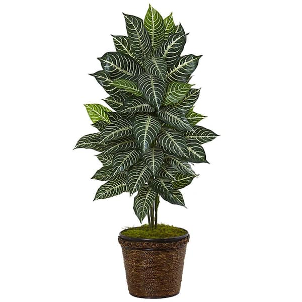 Nearly Natural Indoor 4 ft. Zebra Artificial Plant in Coiled Rope Planter