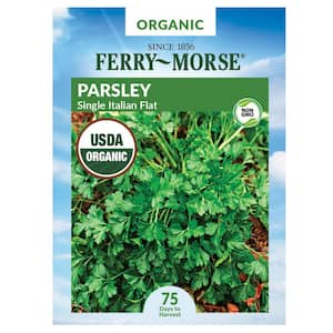 Organic Parsley Flat Italian Herb Seed