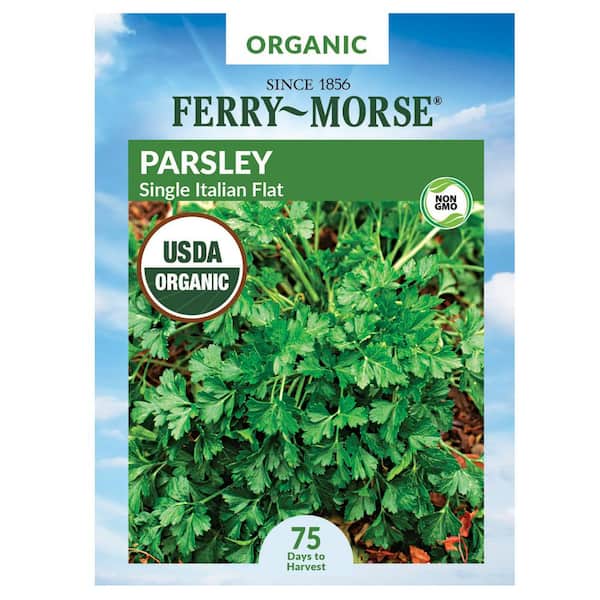 Ferry-Morse Parsley Flat Italian Organic Seed