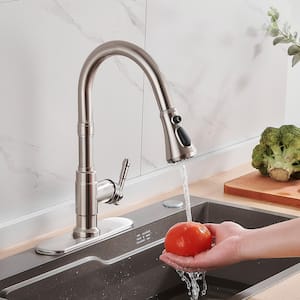 Single Handle Pull Down Sprayer Kitchen Faucet High Arc Spout with 360° Swivel in Brushed Nickel