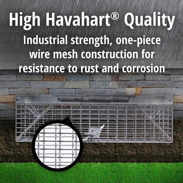 Rat Chipmunk and Small Rodent Cage Trap Havahart 1025 Live Animal 2-Door Squirrel Rat Chipmunk and Small Rodent Cage Trap Havahart 1025 Live Animal 2-Door Squirrel