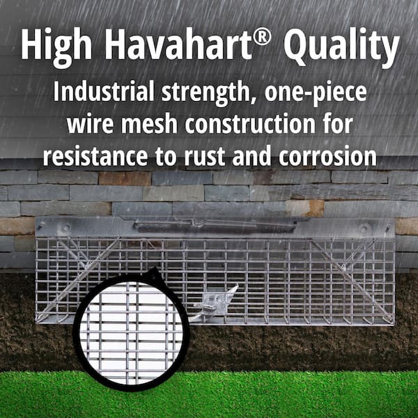 Havahart Small 2-Door Professional Humane Catch-and-Release Live Animal  Cage Trap for Rat, Squirrel, Chipmunk, and Weasel 1025 - The Home Depot