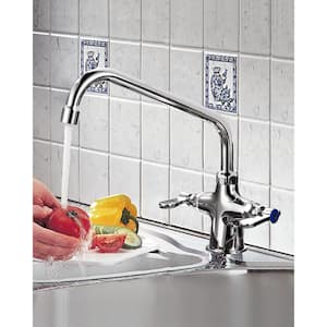 Double Handle Deck Mount Brass Commercial Standard Kitchen Faucet with Swivel Spout and Supply Lines in Polished Chrome