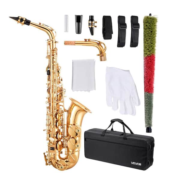 Alto Saxophone, E Flat, Brass, Beginner Kit with Case, Mouthpiece, Straps, Cleaning Cloth, Gloves, Grease, 23 Keys, Gold