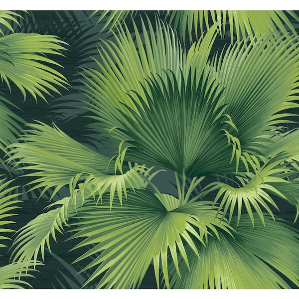 A-Street Prints Summer Palm Dark Green Tropical Wallpaper Sample