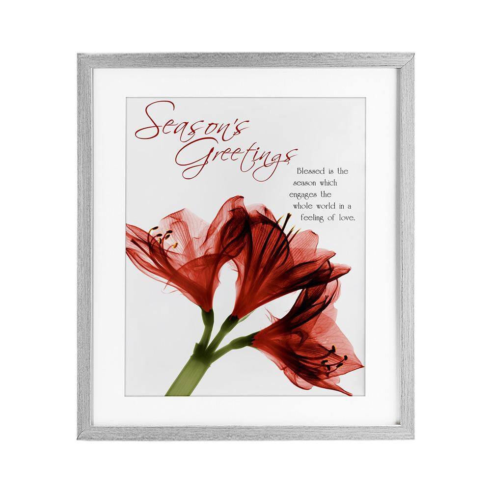 Season's Greetings Holiday Amaryllis by Albert Koetsier Framed Graphic Art Print Typography 16 in. x 13 in. price history on PriceWatchPro