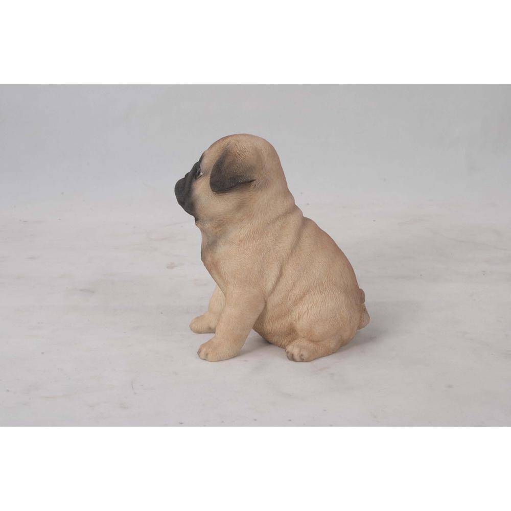 Realistic Tan and Black Sitting Pug Puppy Statue