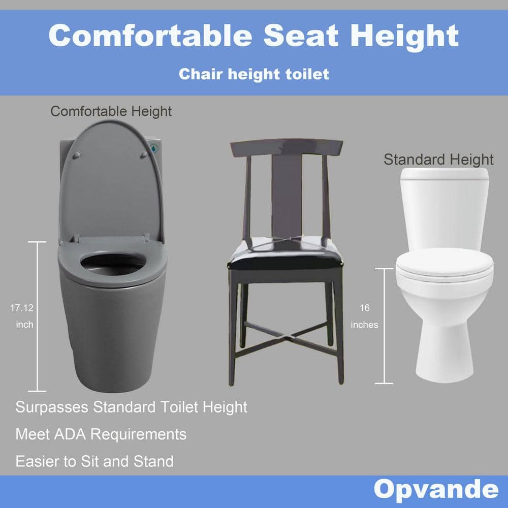 Light Gray Ceramic Dual Flush Elongated One-Piece Toilet