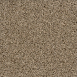 Brightstone I  - Prize - Beige 40 oz. SD Polyester Texture Installed Carpet