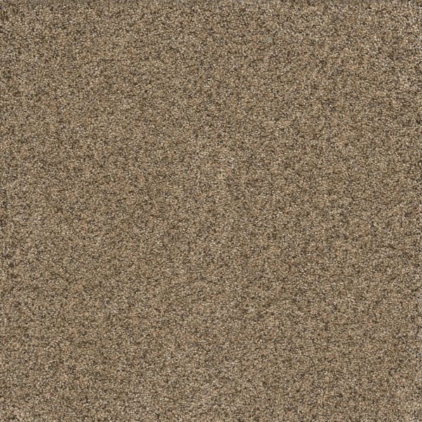Home Decorators Collection Brightstone II - Prize - Beige 55 oz. SD Polyester Texture Installed Carpet