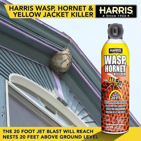 Harris 16 Oz Wasp And Hornet Killer 3 Pack 3wh16 The Home Depot