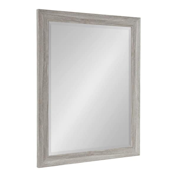 Dalphia Gray 22 in. W x 28 in. H Rectangle Plastic Wall Mirror