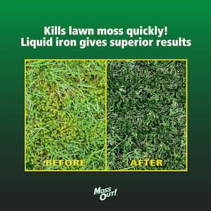 Hose'n Go 32 oz. 500 sq. ft. Lawn Moss Killer Ready-To-Spray Dry Fertilizer