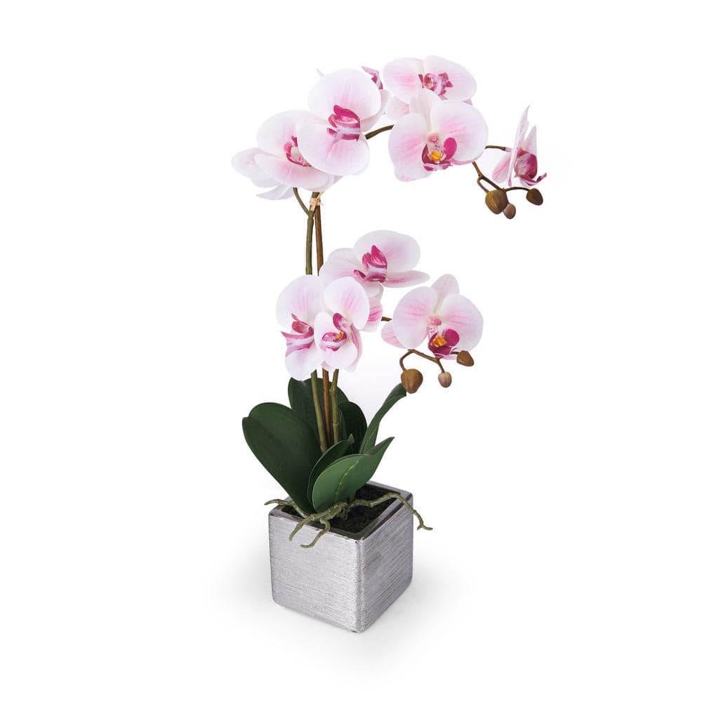 Mikasa Real Touch 22- Inch-Pink Artificial Phalaenopsis Orchid, in ...