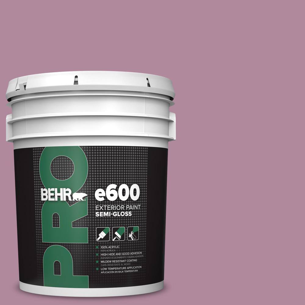 5 gal. #690D-5 Winsome Rose Semi-Gloss Exterior Paint