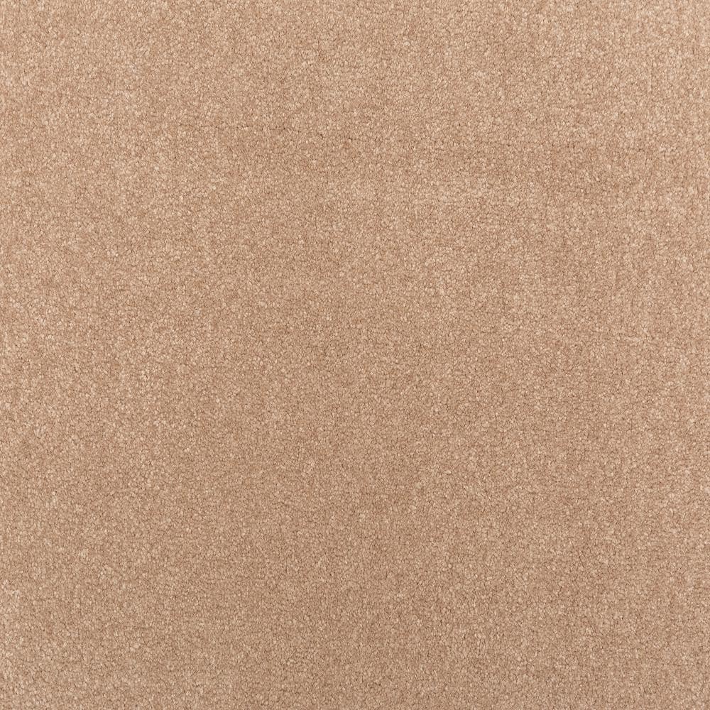 8 in. x 8 in. Texture Carpet Sample - Waking Up II - Color Ethereal price history on PriceWatchPro