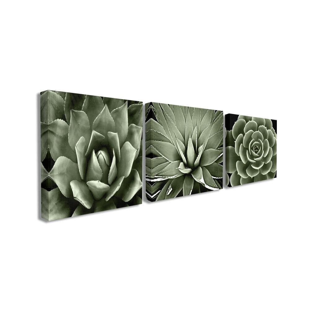 The Stupell Home Decor Collection 17 in. x 17 in.