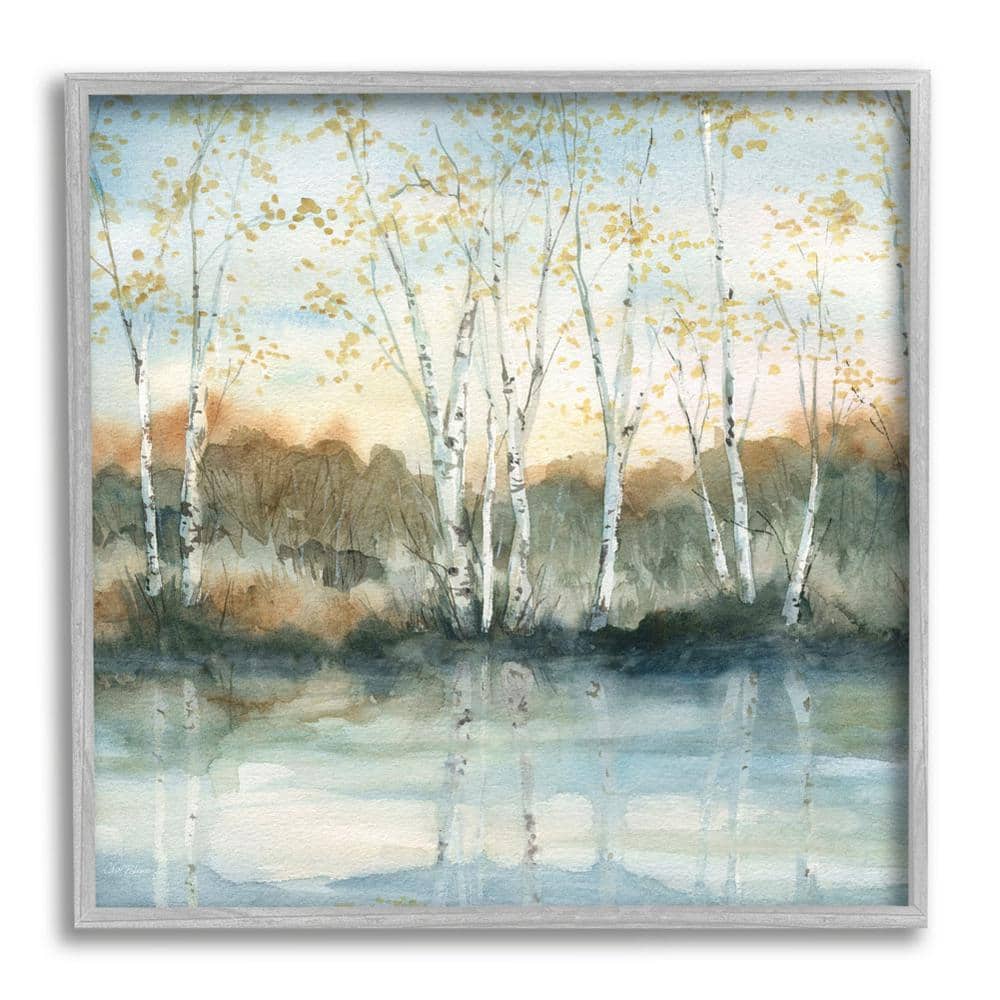 Gray Framed Birch Tree Reflections Landscape Canvas Print, 24 x 24