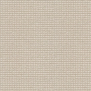 Lyrical Color Calm Beige 38 oz. Nylon Pattern Installed Carpet