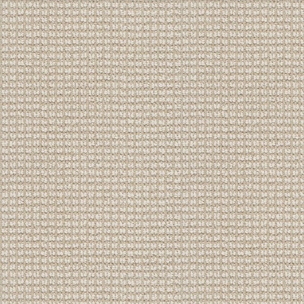 Lyrical Color Calm Beige 38 oz. Nylon Pattern Installed Carpet