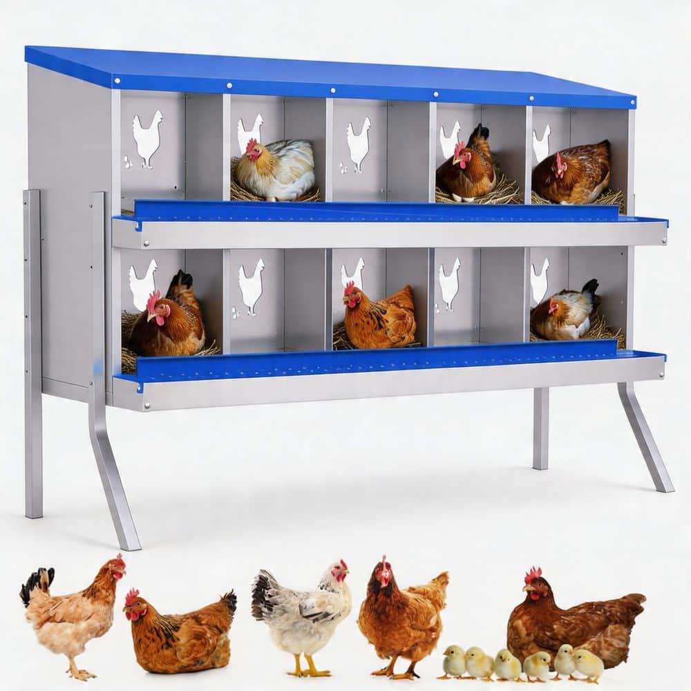 35.24 x 53.54 x 16.93 in. 10-Hole Galvanized Steel Chicken Nesting Box with Stand and Egg Collection, Blue price history on PriceWatchPro