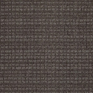 Recognition II - Explorer - Brown 24 oz. Nylon Pattern Installed Carpet