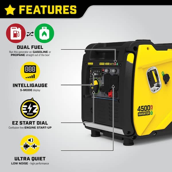 ◆RIETI◆ GOLD PURO RT 4050 C3 Champion Power Equipment 4500-Watt Electric Start Dual Fuel