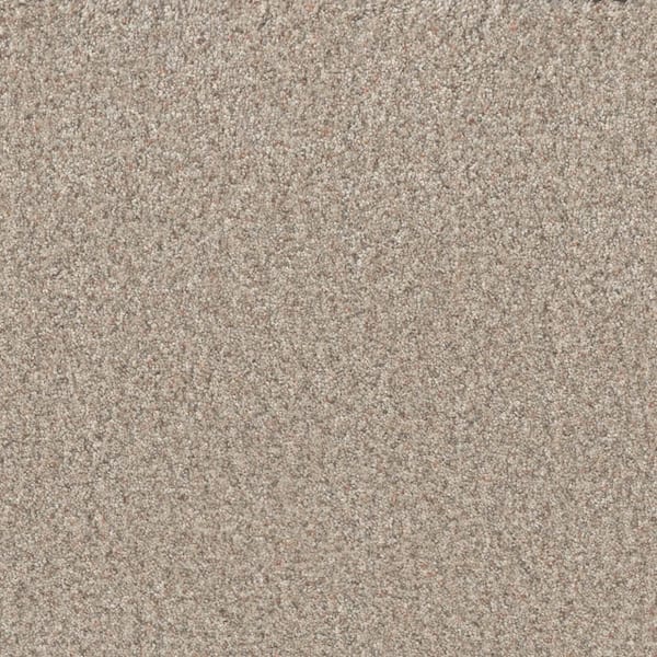 Manuscript III -Draft Beige-65 oz. SD Polyester Texture Carpet - Installation Required