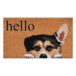 Multi-Colored 29 in. x 17 in. Coir Non-Slip Indoor/Outdoor Door Mat