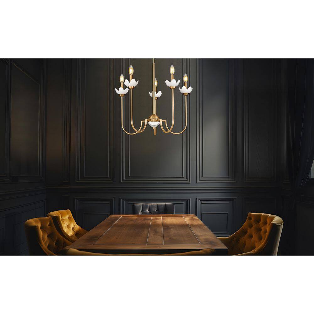 Allistair 5 Light Modern Gold Chandelier for Indoor Use with No Bulbs Included price history on PriceWatchPro