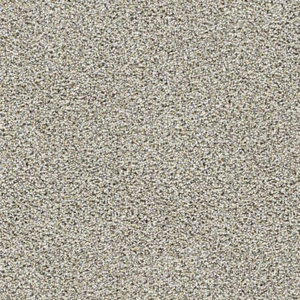 8 in. x 8 in. Texture Carpet Sample-Friendship Fables-Color Love price history on PriceWatchPro