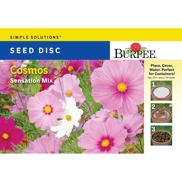 Burpee Cosmos Sensation Mix Large Disc Seed