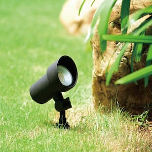 Low-Voltage Aluminum Black Hardwired LED Outdoor Landscape Rust Resistant Path Light Clear Glass