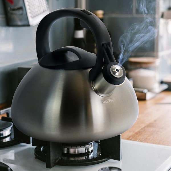 https://images.thdstatic.com/productImages/93b81cd7-3444-4fa4-997f-3e7bbfef2fb8/svn/stainless-steel-mr-coffee-tea-kettles-985115258m-fa_600.jpg