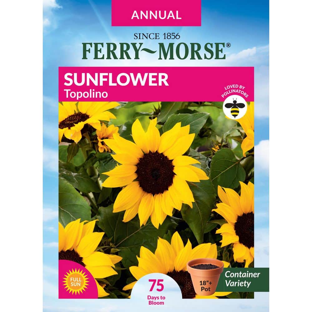 Ferry-Morse Sunflower Topolino Flower Seeds 1859 - The Home Depot