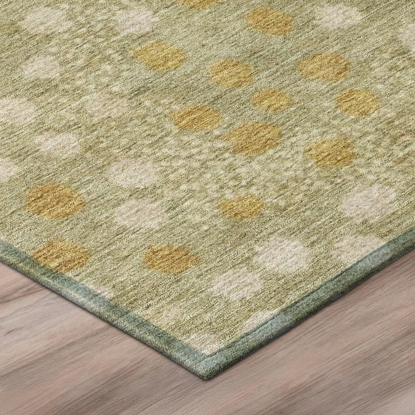 Chantille Machine Washable Indoor/Outdoor Abstract ACN2965 Fern 10 ft. x 14 ft. Area Rug