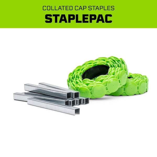 3/8 in. StaplePac 2016 per Box