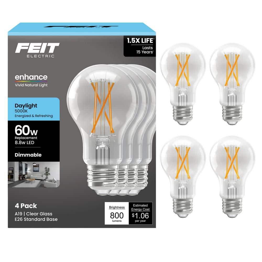 Feit Electric 60-Watt Equivalent A19 Dimmable Clear Glass Filament