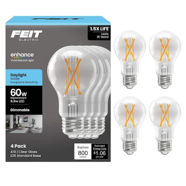 Feit Electric 60-Watt Equivalent A19 Dimmable Clear Glass Filament
