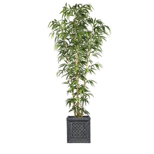 Laura Ashley 78 in. Bamboo Tree in Natural Poles in Planter