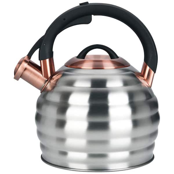 13-Cup Silver Stainless Steel Whistling Stovetop Tea Kettle with Heat Proof Ergonomic Handle, Dishwasher Safe