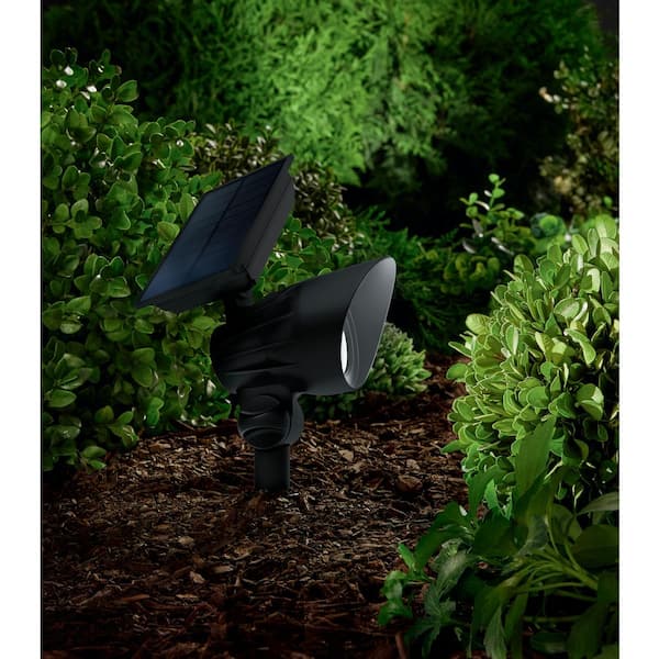 120 Lumen Black LED Weather Resistant Outdoor Solar Spotlight with Color Changing and Adjustable Head