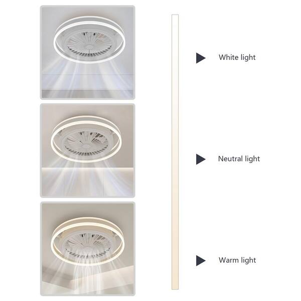 loca♡ 51vrPw3jdyL.jpg_BO30,255,255,